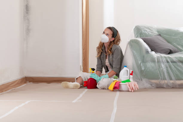 Reliable Mold Inspection And Testing contractor in Martinsville, IL by Mold Remediation HQ